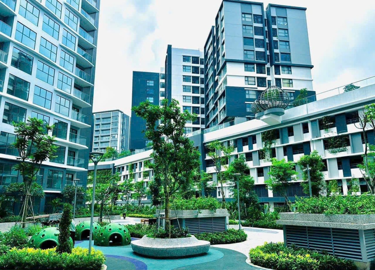 Diamond Alnata - Celadon City